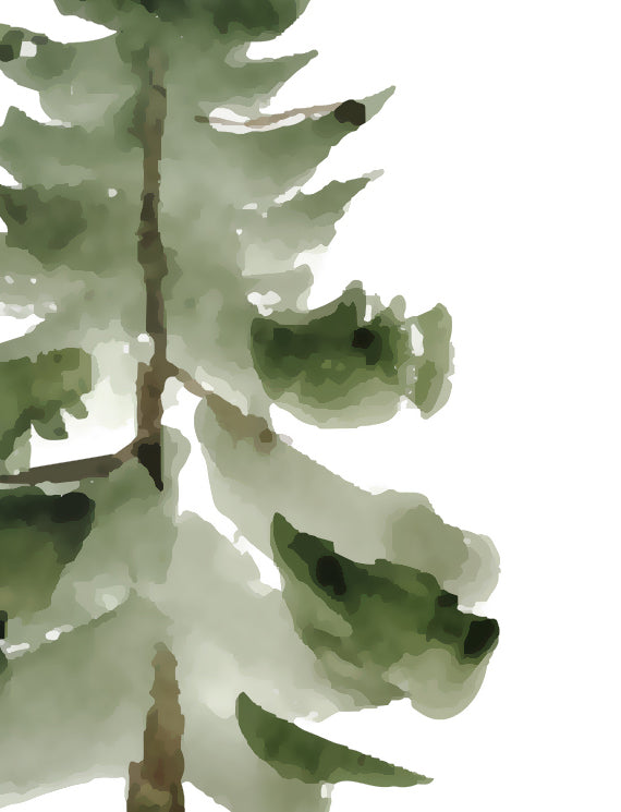 Pine Trees Wallpaper