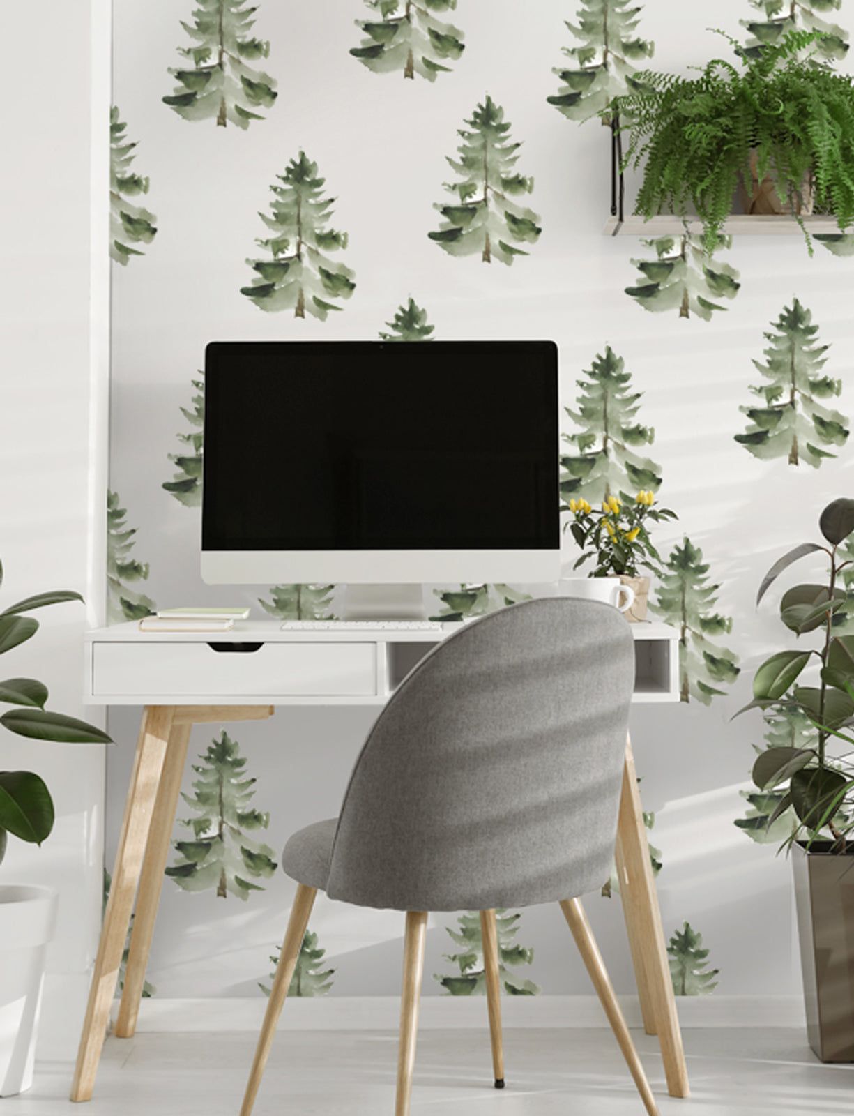 Pine Trees Wallpaper