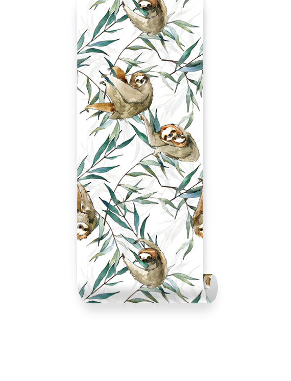 Sloth Wallpaper